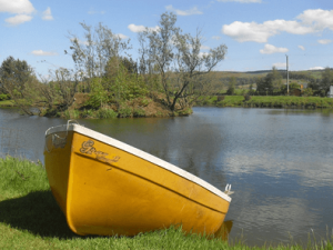 Boat Trips