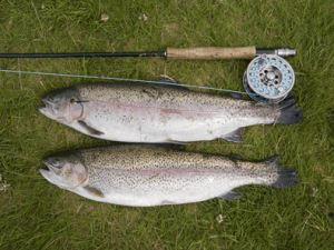 Inverawe Fishing